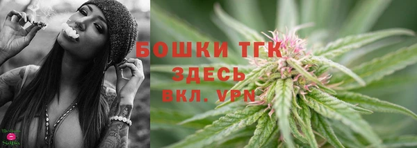 крисы Горно-Алтайск