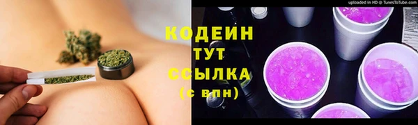 шишки Чекалин