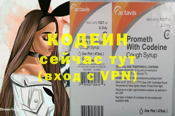 хмурый Гатчина