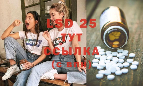 сатива Хадыженск
